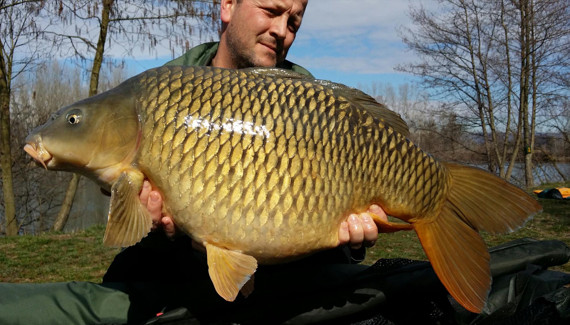 Lago Boschetto 7 - 10 martie 2016 - 20160310123623-1.jpg